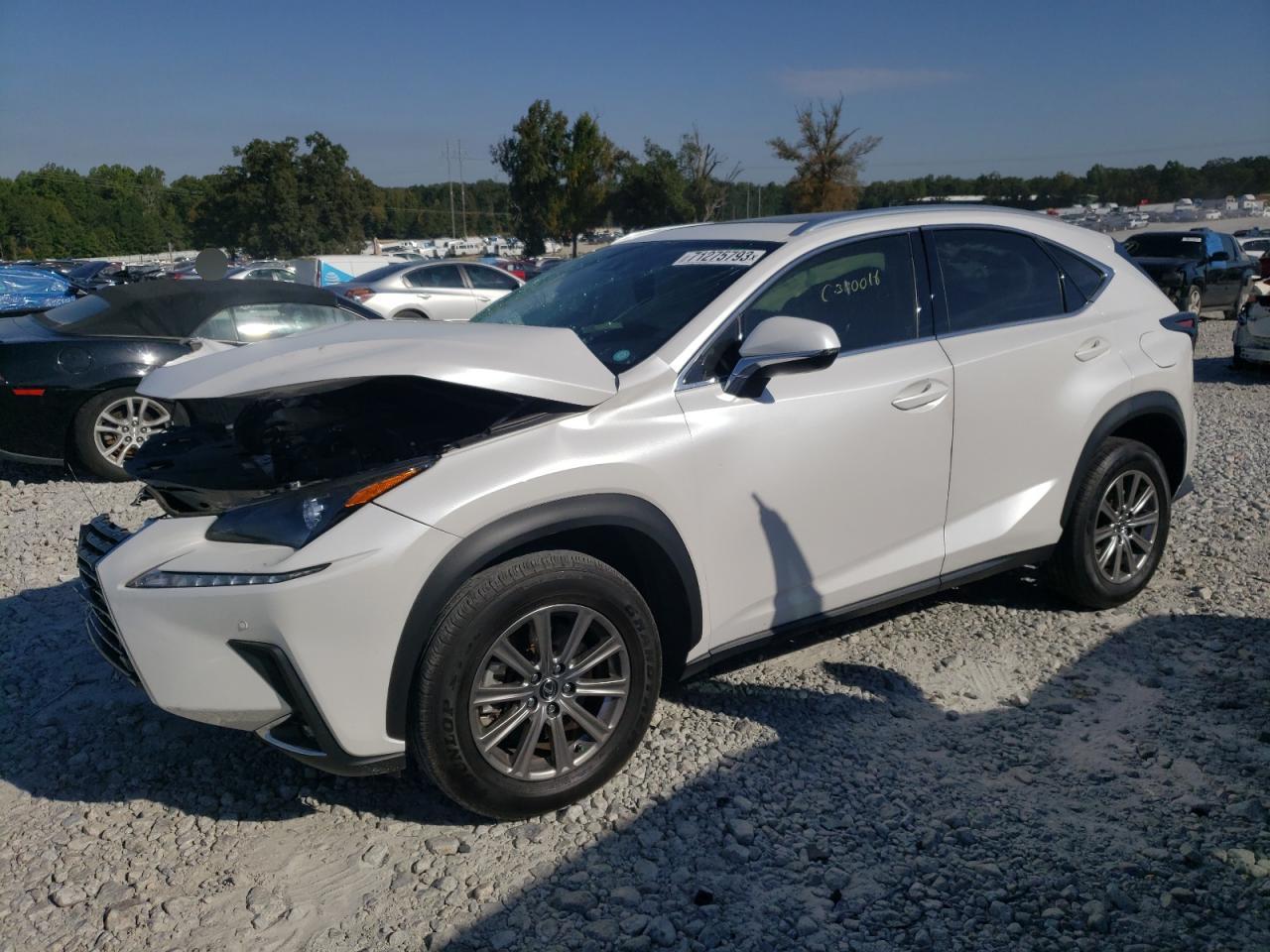 JTJDARBZ4M5023141 - 2021 Lexus nx 300 bas