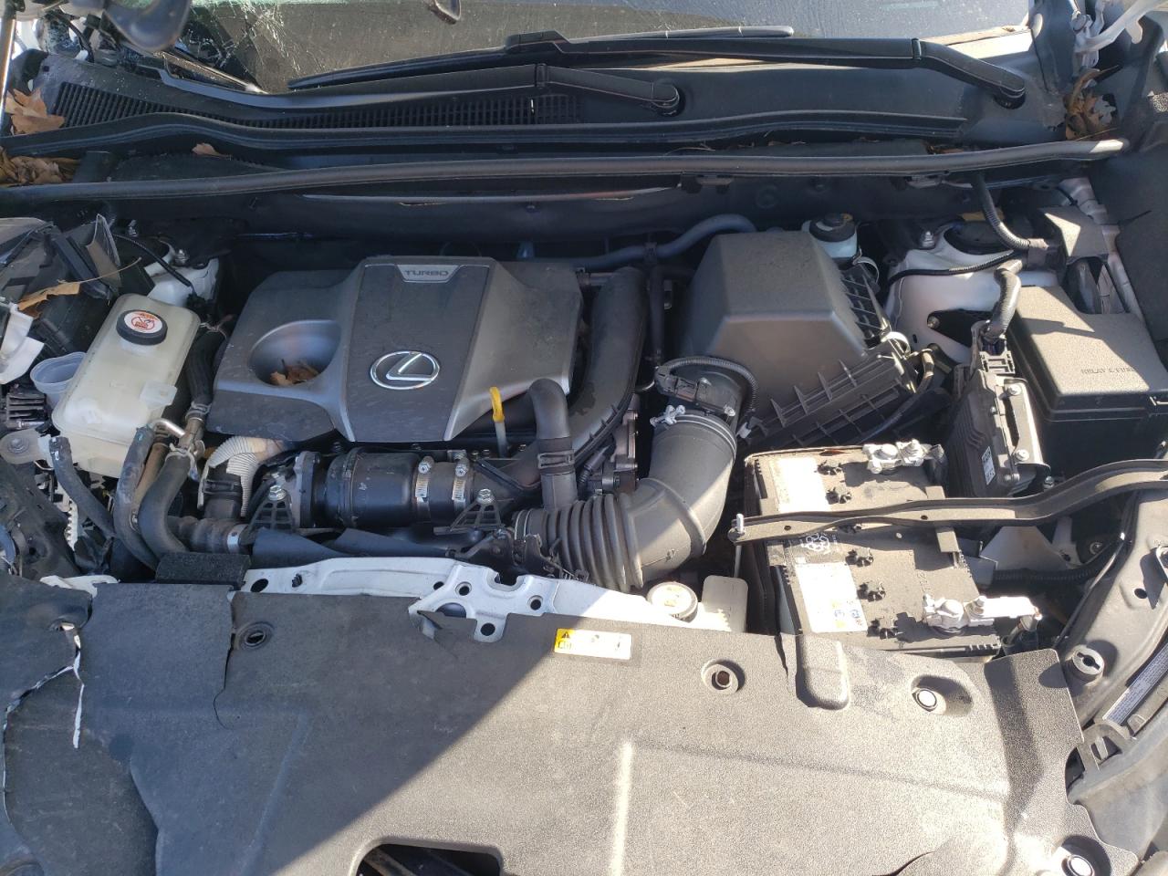 JTJDARBZ4M5023141 - 2021 Lexus nx 300 bas